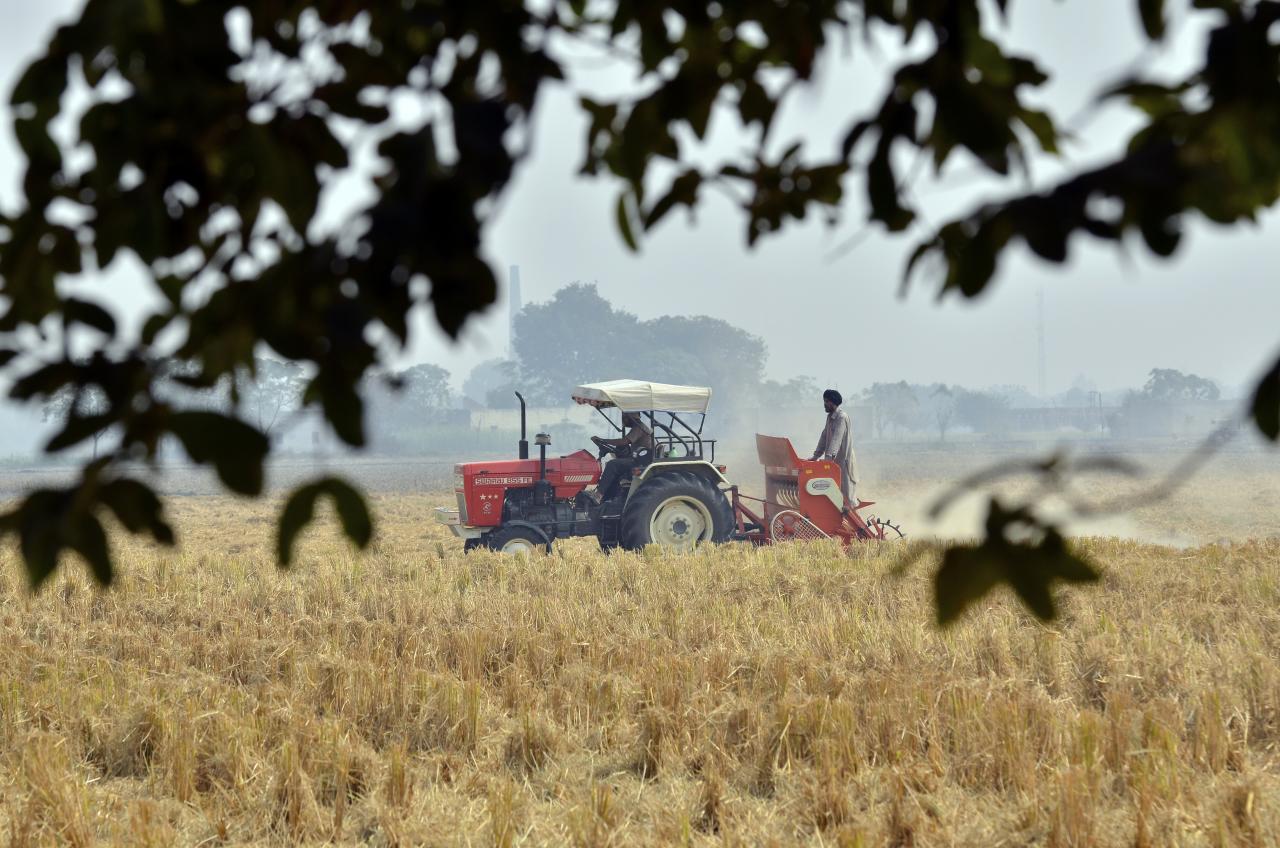 Crise agricole en Inde : un agriculteur se suicide toutes les trente minutes