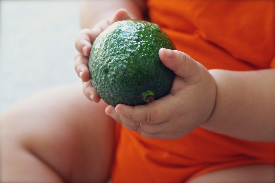 Are avocados now toast, at least for the thoughtful eater ?