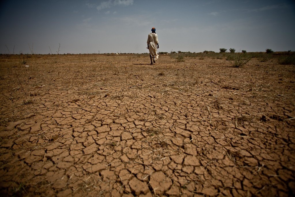 Crises au Sahel : le prisme malien