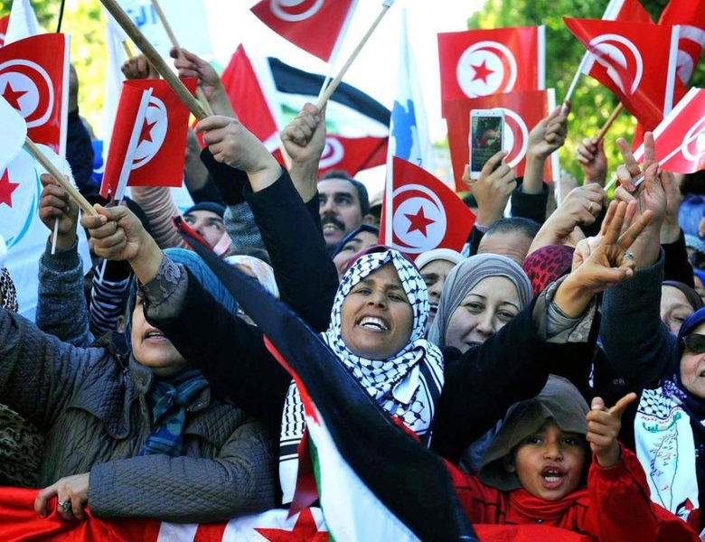 The revolution will be televised : médias et élections dans la Tunisie démocratique